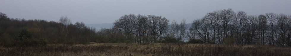 Headerbild