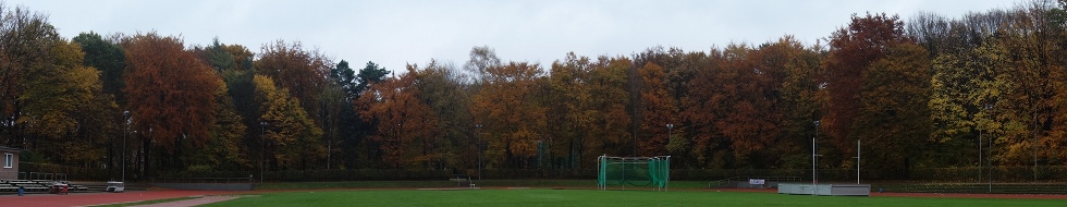 Headerbild
