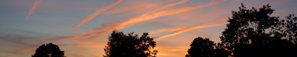 Headerbild