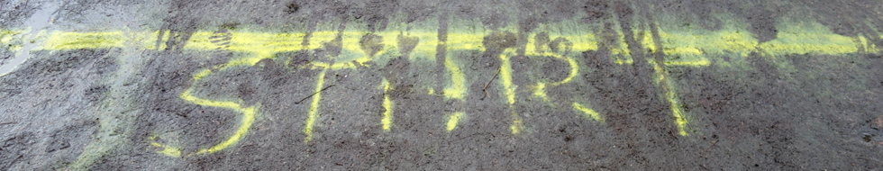 Headerbild
