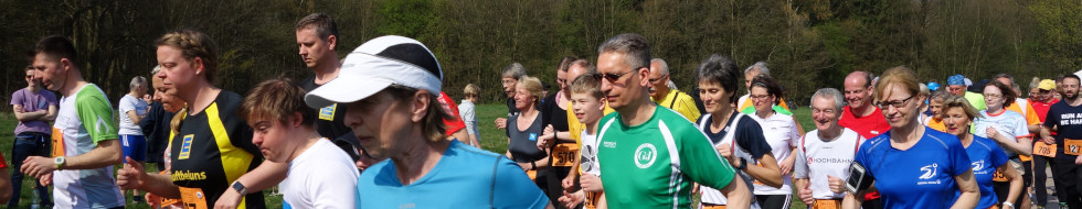 Headerbild