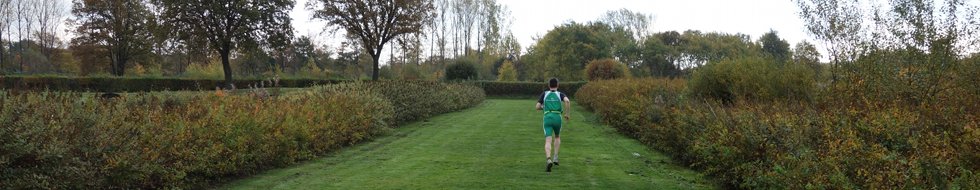 Headerbild