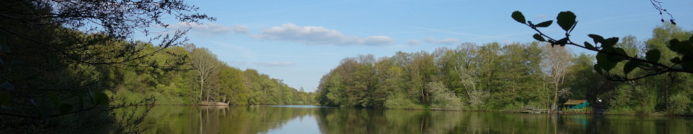 Headerbild