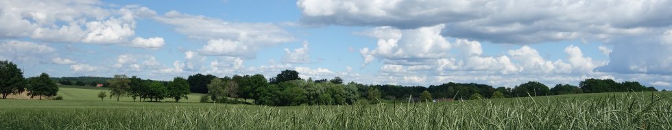 Headerbild