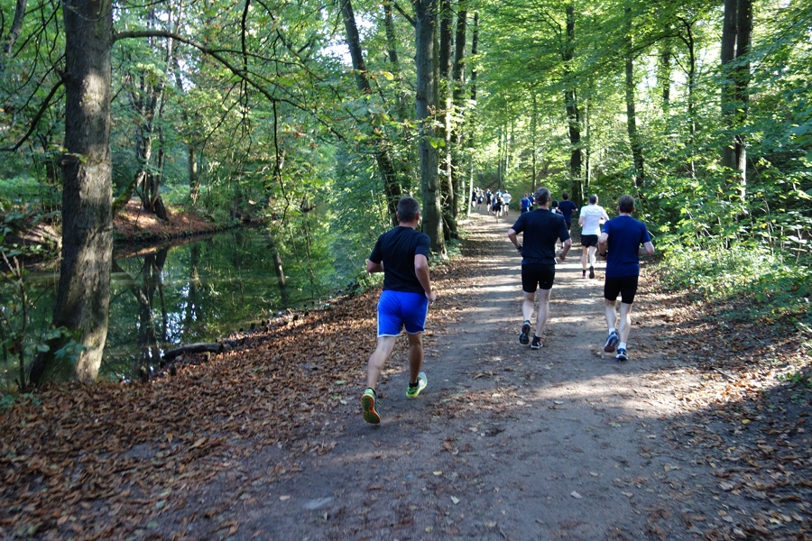 Alsterlauf