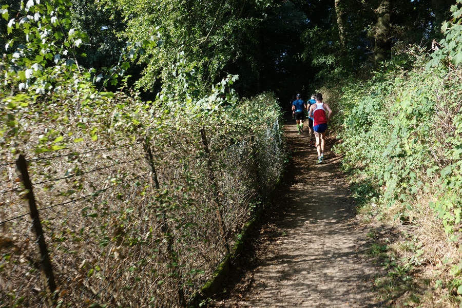 Kilometer 11 (Mellingstedter Stieg)