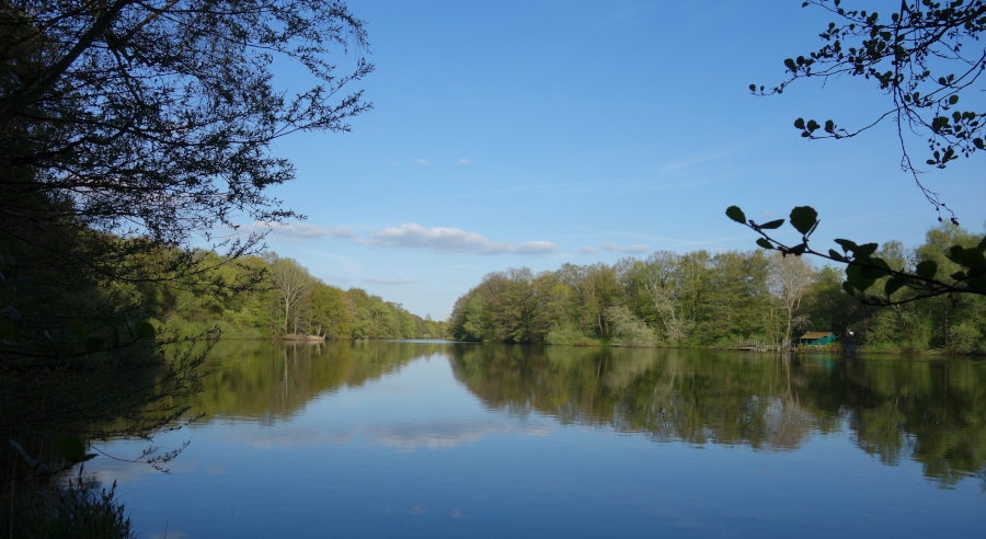 Bramfelder See beim Einlaufen