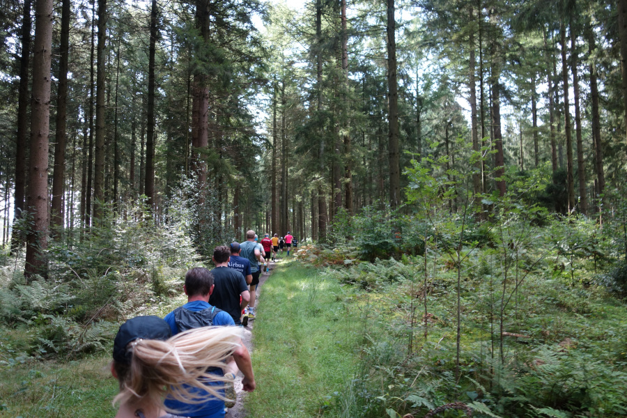 Der 1. Singletrail