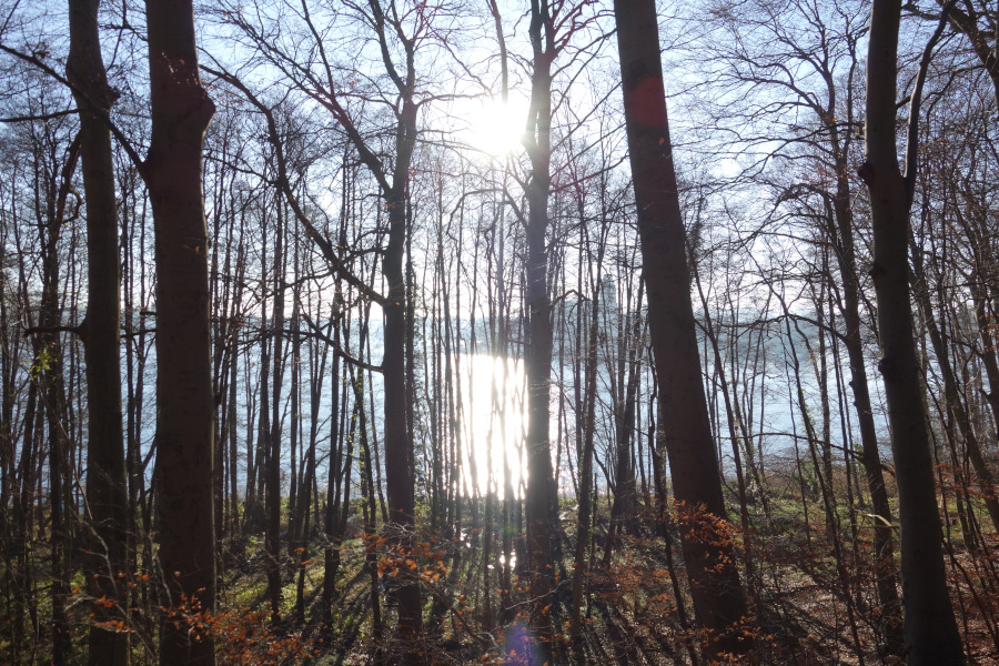 Seeblick