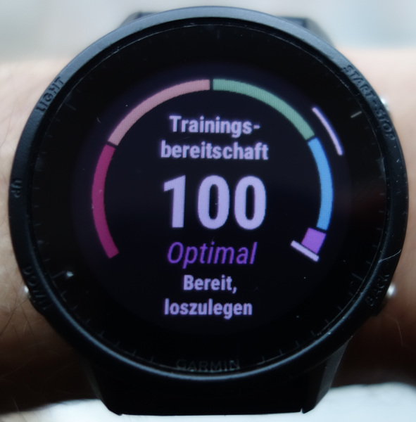 Trainingsbereitschaft