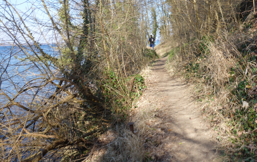 8 km Trails durchs NSG