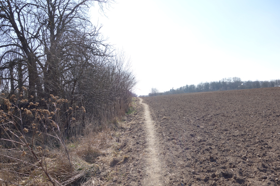 Singletrail mit Knieschmerzen